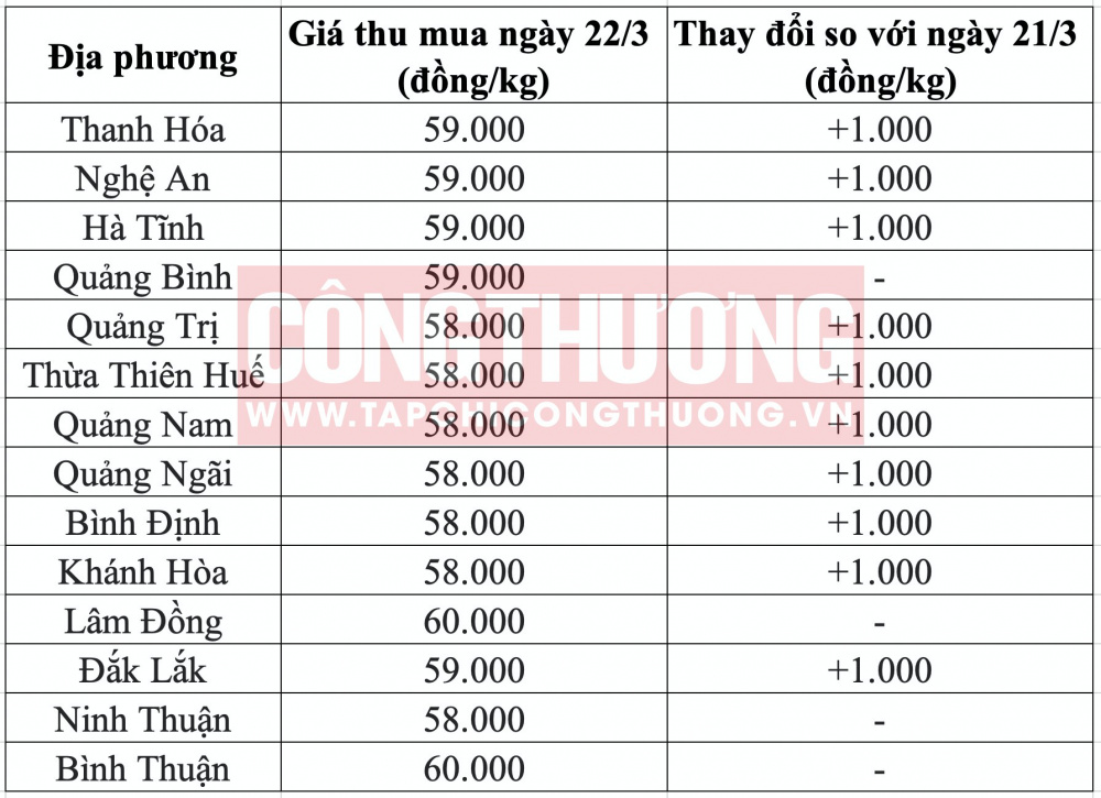 Giá heo hơi hôm nay tại miền Trung