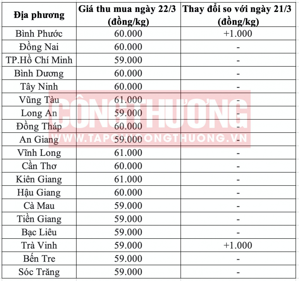 Giá heo hơi hôm nay tại miền Nam CWIN ✅ Nhà cái cờ bạc trực tuyến tốt nhất và Thương hiệu uy tín