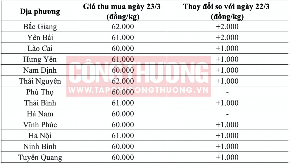 Giá heo hơi hôm nay tại miền Bắc