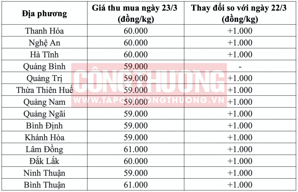 Giá heo hơi hôm nay tại miền Trung