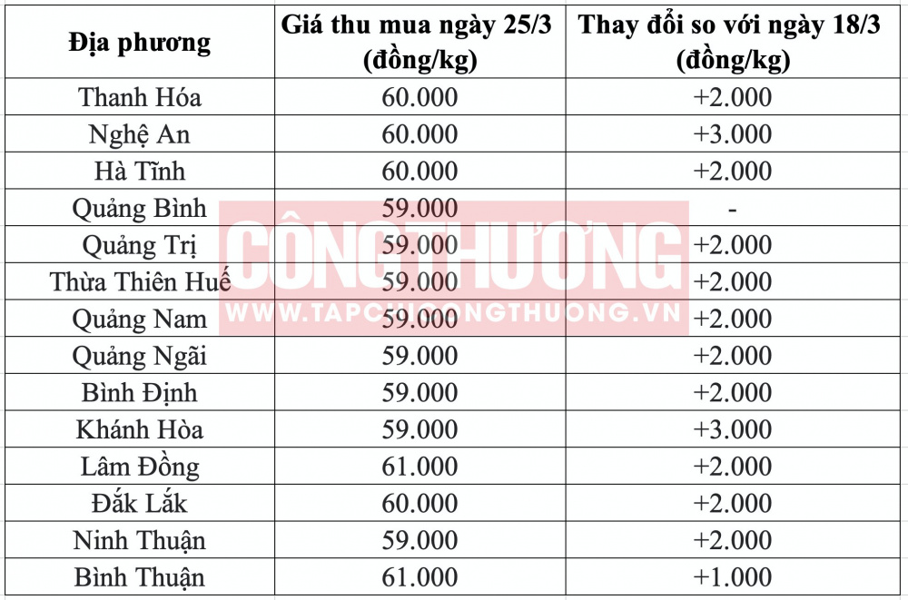 Giá heo hơi hôm nay tại miền Trung