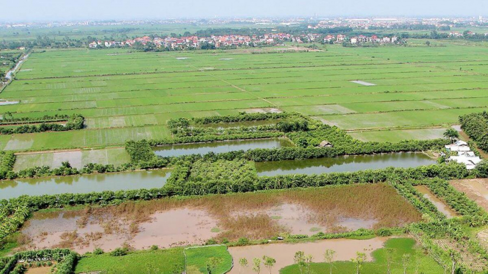 Luật Đất đai (sửa đổi)