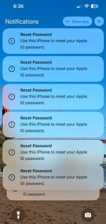 một iPhone nhận hàng loạt tin nhắn khôi phục mật khẩu. Ảnh: KrebsOnSecurity