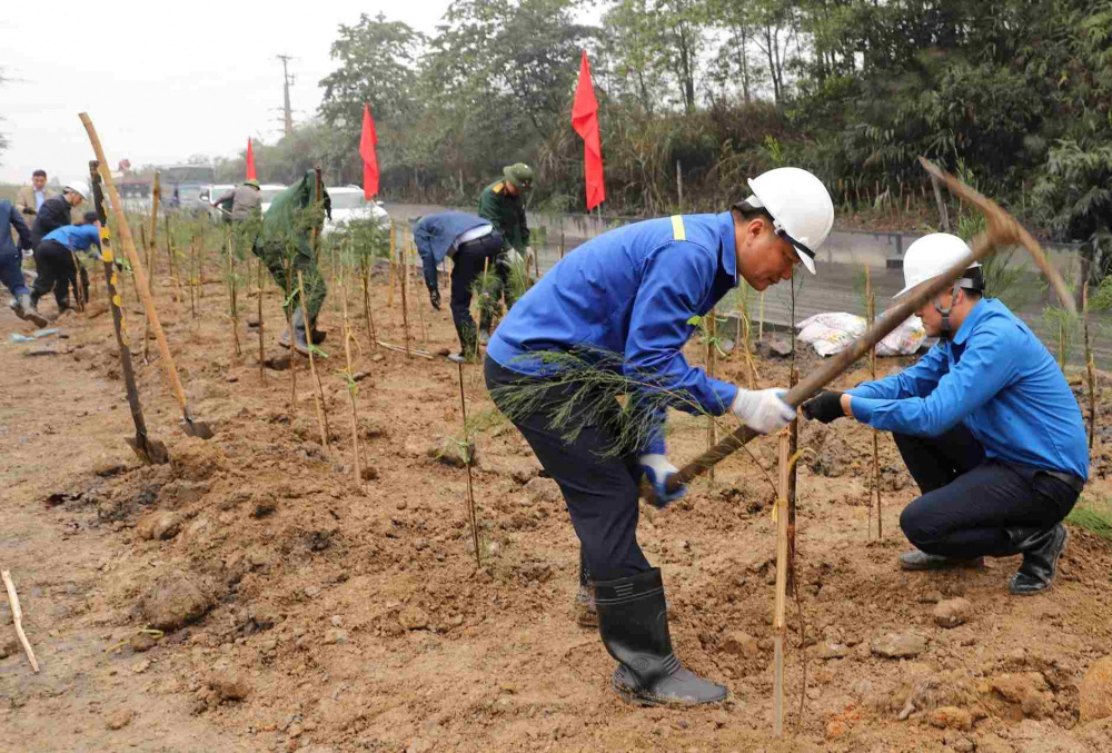 Công ty Môi trường