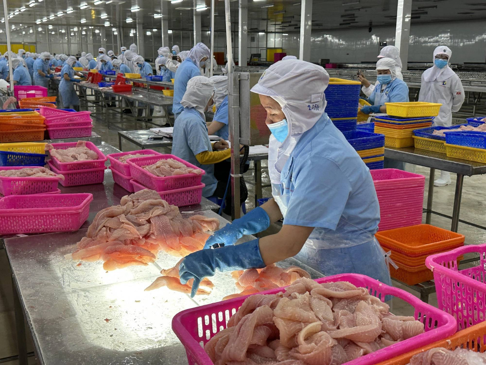 Tranh thủ thời cơ, tăng tốc Cwin Đăng Ký + 1888k cá tra Việt Nam
