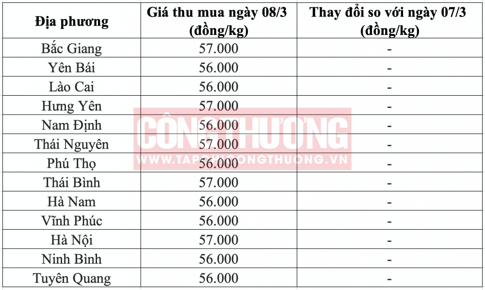 Giá heo hơi hôm nay tại miền Bắc CWIN ✅ Nhà cái cờ bạc trực tuyến tốt nhất và Thương hiệu uy tín