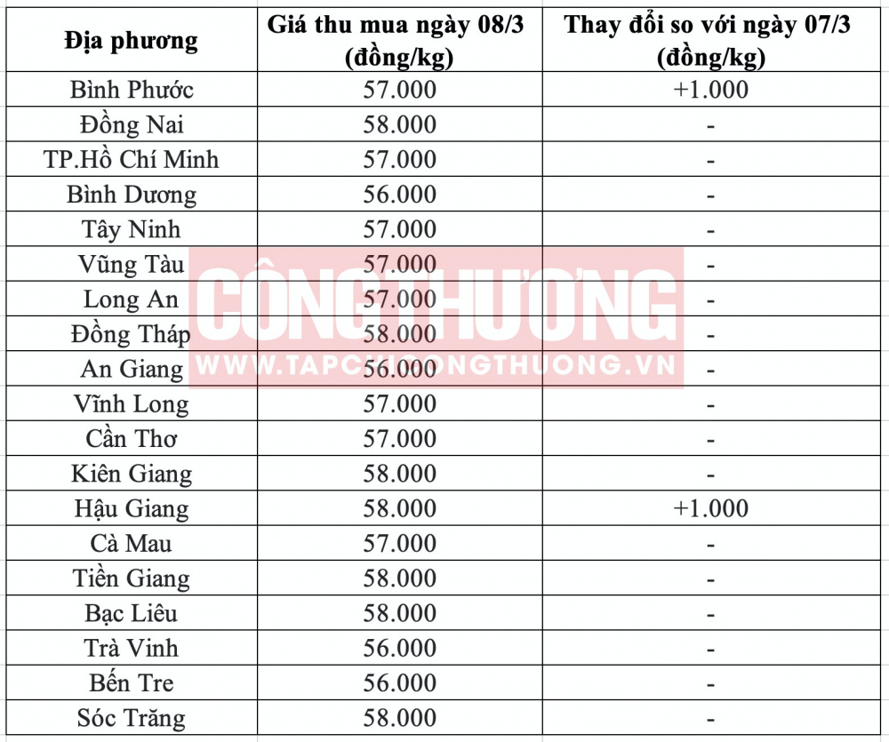 Giá heo hơi hôm nay tại miền Nam CWIN ✅ Nhà cái cờ bạc trực tuyến tốt nhất và Thương hiệu uy tín