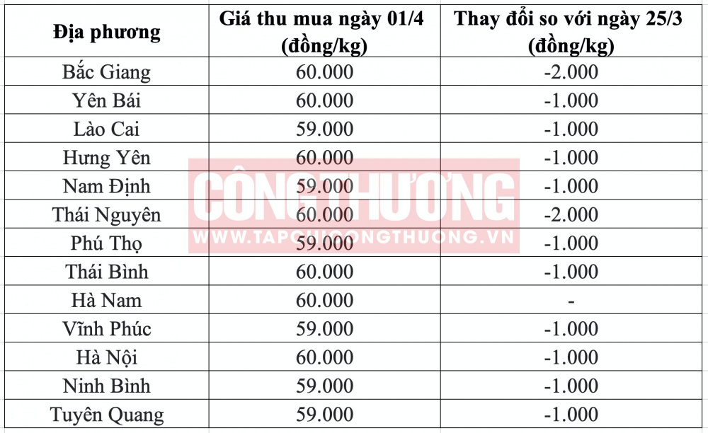 Giá heo hơi hôm nay tại miền Bắc CWIN ✅ Nhà cái cờ bạc trực tuyến tốt nhất và Thương hiệu uy tín