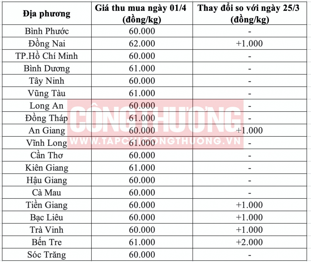 Giá heo hơi hôm nay tại miền Nam CWIN ✅ Nhà cái cờ bạc trực tuyến tốt nhất và Thương hiệu uy tín