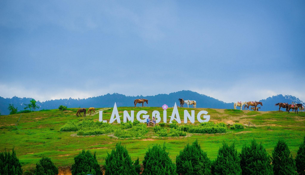 Các hoạt động Tuần lễ vàng Du lịch Lâm Đồng sẽ là chuỗi sự kiện được tổ chức tại thành phố Đà Lạt và một số huyện, thành phố trong tỉnh