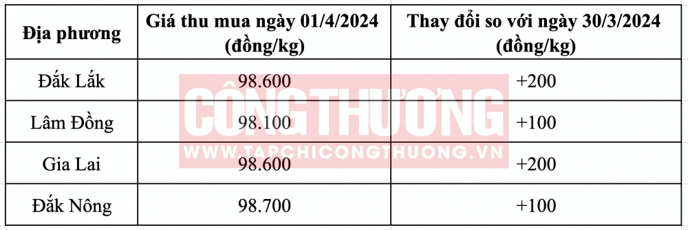 Giá cà phê hôm nay tại Tây Nguyên CWIN ✅ Nhà cái cờ bạc trực tuyến tốt nhất và Thương hiệu uy tín