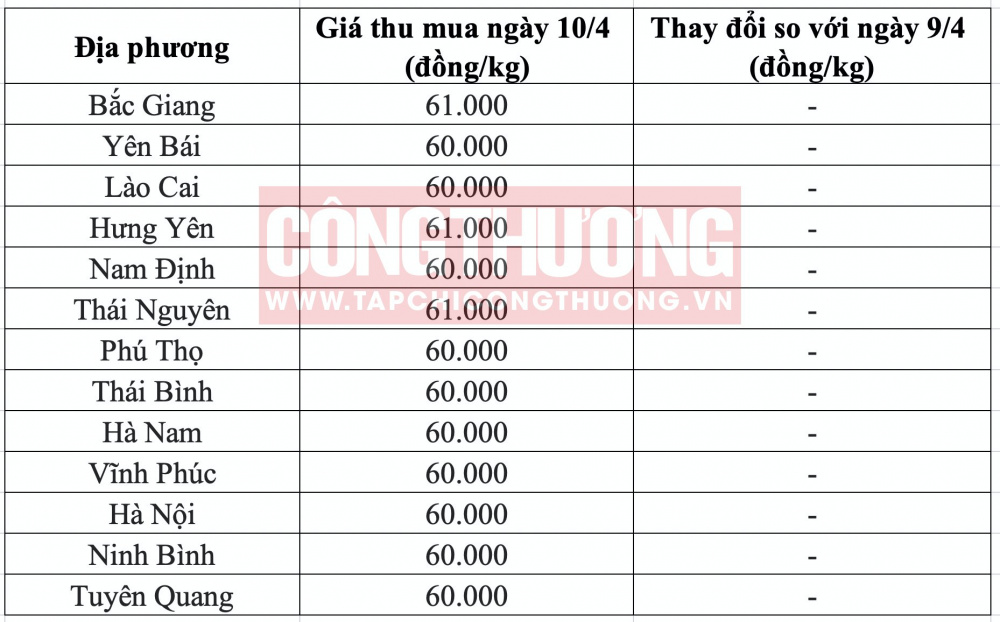 Giá heo hơi hôm nay tại miền Bắc