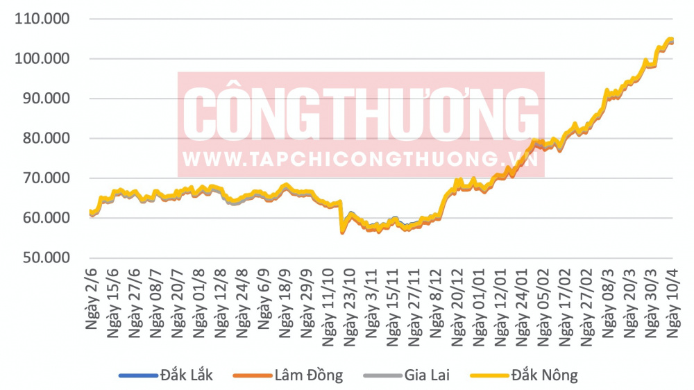 Giá cà phê hôm nay tại Tây Nguyên CWIN ✅ Nhà cái cờ bạc trực tuyến tốt nhất và Thương hiệu uy tín