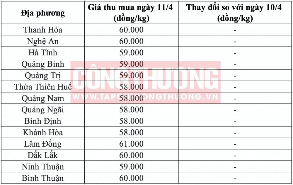 Giá heo hơi hôm nay tại miền Trung