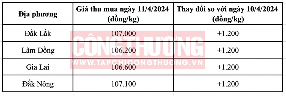Giá cà phê hôm nay tại Tây Nguyên CWIN ✅ Nhà cái cờ bạc trực tuyến tốt nhất và Thương hiệu uy tín