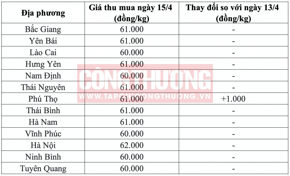 Giá heo hơi hôm nay tại miền Bắc