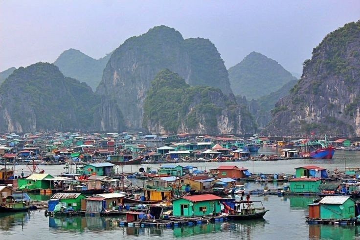 Bắt trọn khung cảnh nhộn nhịp của Cát Bà trong bức ảnh - Ảnh: Tripadvisor