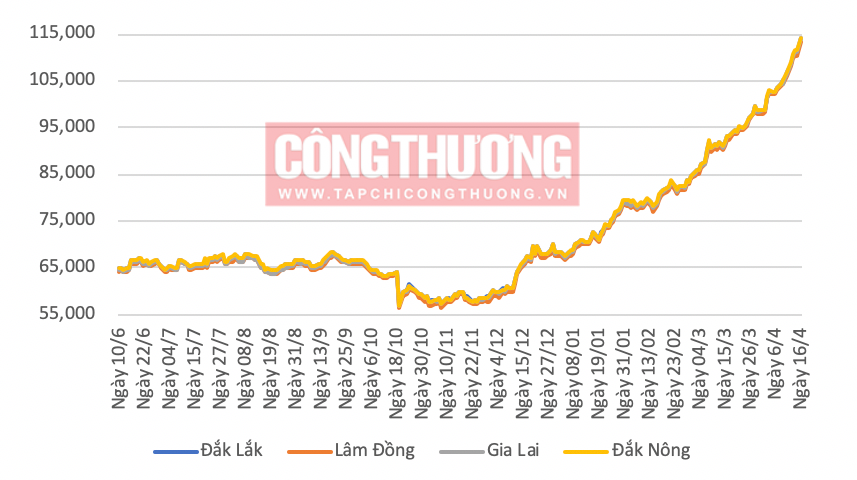 Giá cà phê hôm nay 17/4: Robusta vượt mốc lịch sử 4.000 USD/tấn
