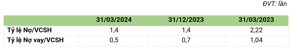 Tỷ lệ nợ Bamboo Capital