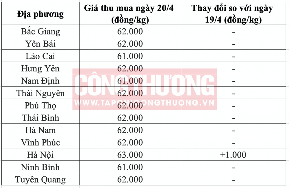 Giá heo hơi hôm nay tại miền Bắc
