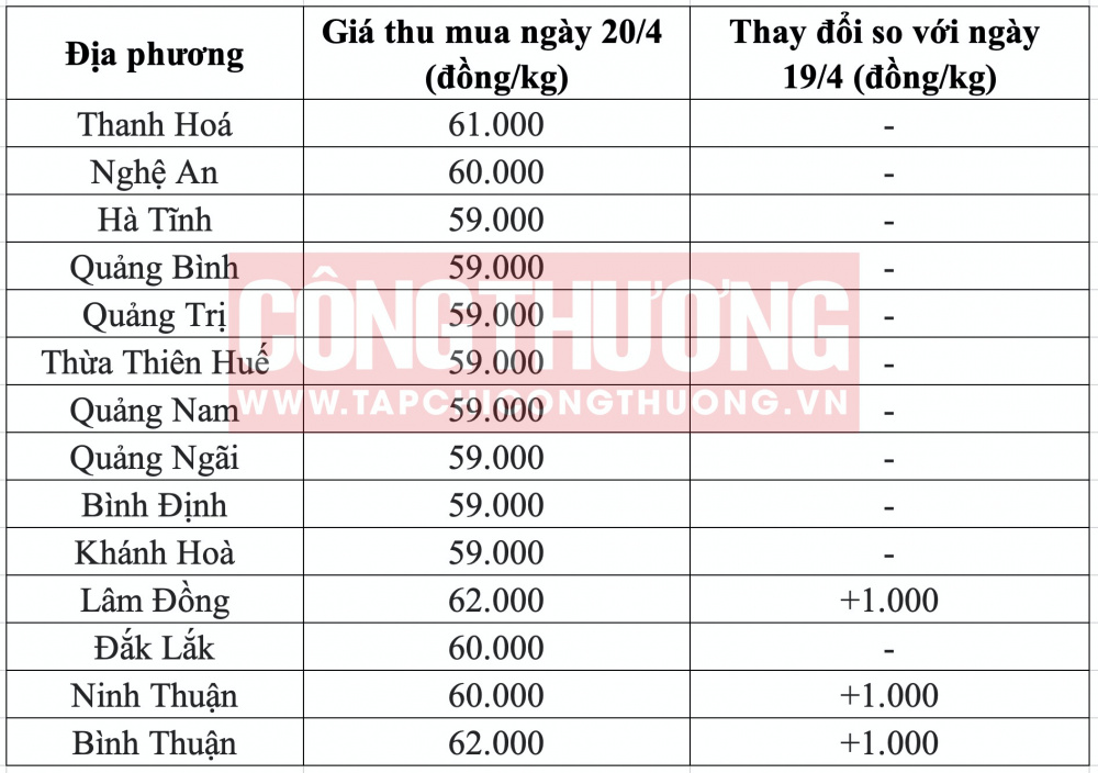 Giá heo hơi hôm nay tại miền Trung CWIN ✅ Nhà cái cờ bạc trực tuyến tốt nhất và Thương hiệu uy tín