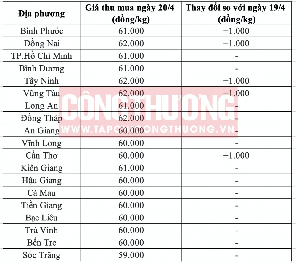 Giá heo hơi hôm nay tại miền Nam CWIN ✅ Nhà cái cờ bạc trực tuyến tốt nhất và Thương hiệu uy tín