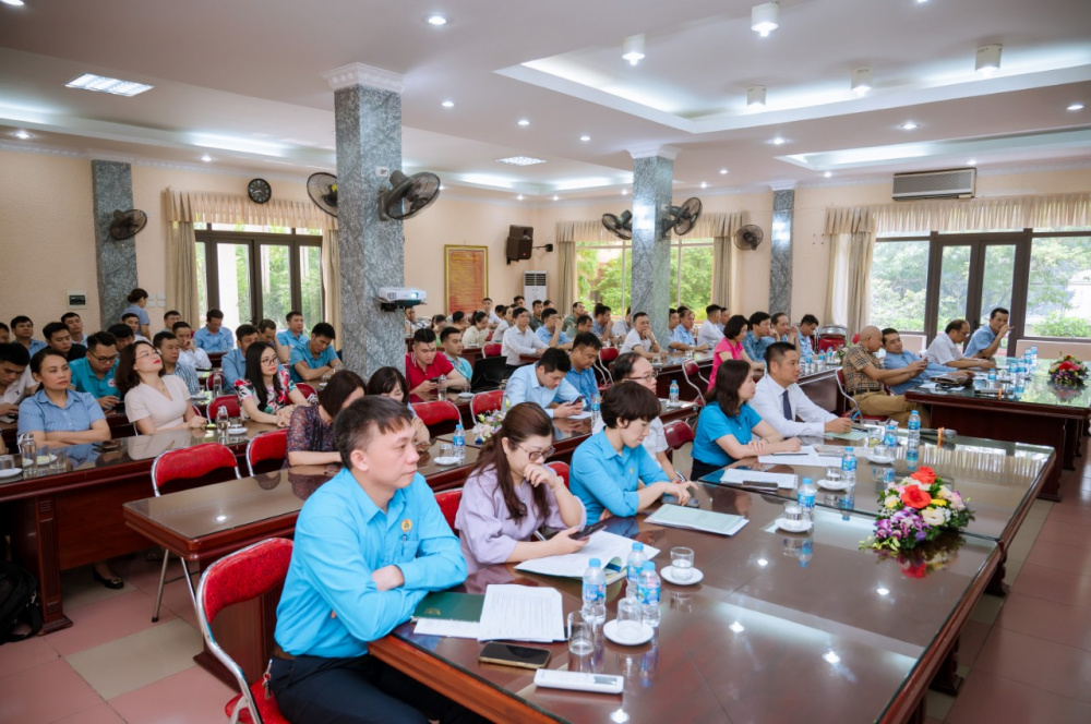 phân bón văn điển