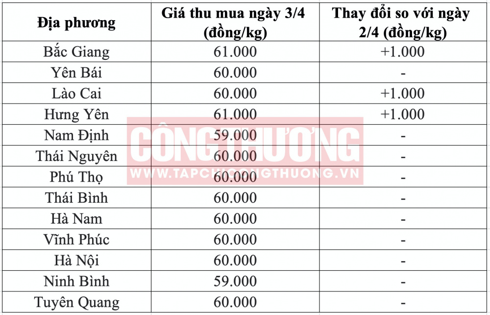 Giá heo hơi hôm nay tại miền Bắc CWIN ✅ Nhà cái cờ bạc trực tuyến tốt nhất và Thương hiệu uy tín