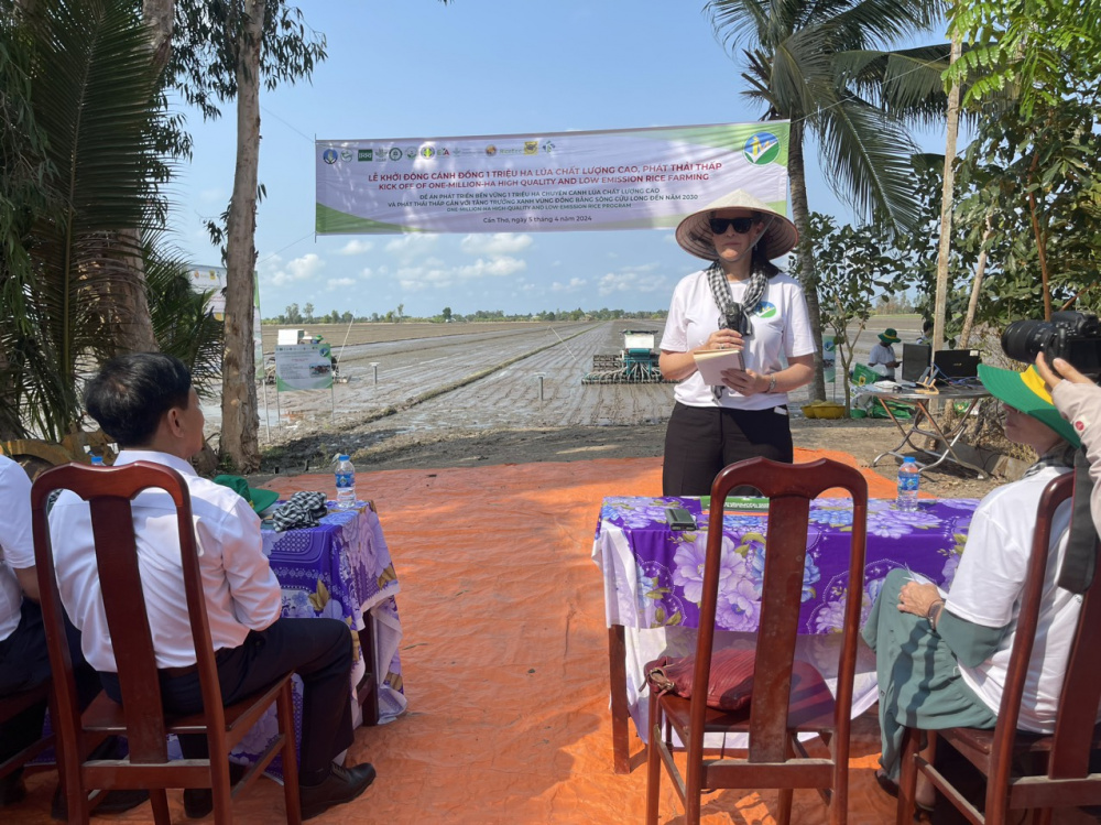 Bình Điền