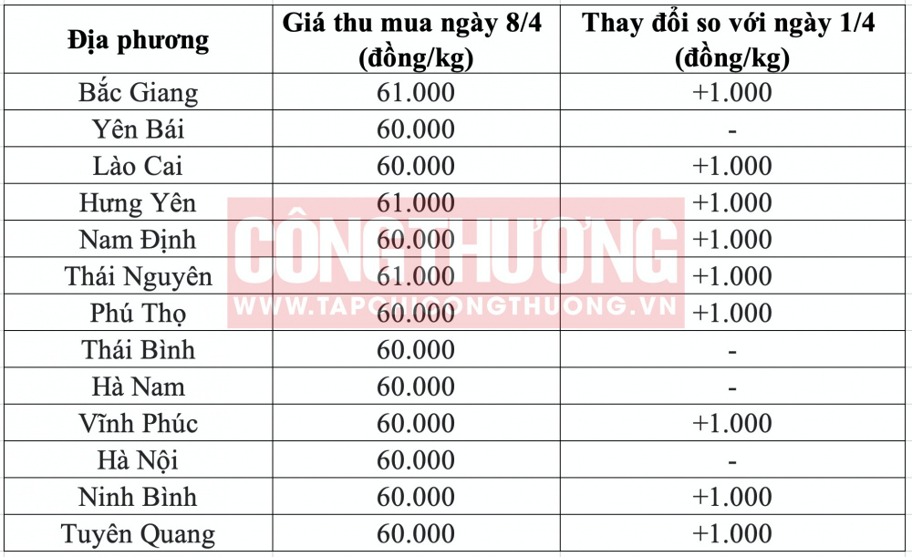 Giá heo hơi hôm nay tại miền Bắc