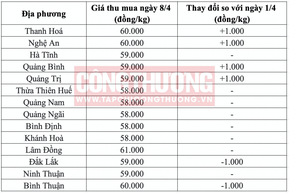 Giá heo hơi hôm nay tại miền Trung CWIN ✅ Nhà cái cờ bạc trực tuyến tốt nhất và Thương hiệu uy tín
