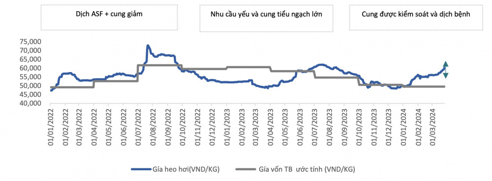 Giá heo hơi BAF Việt Nam