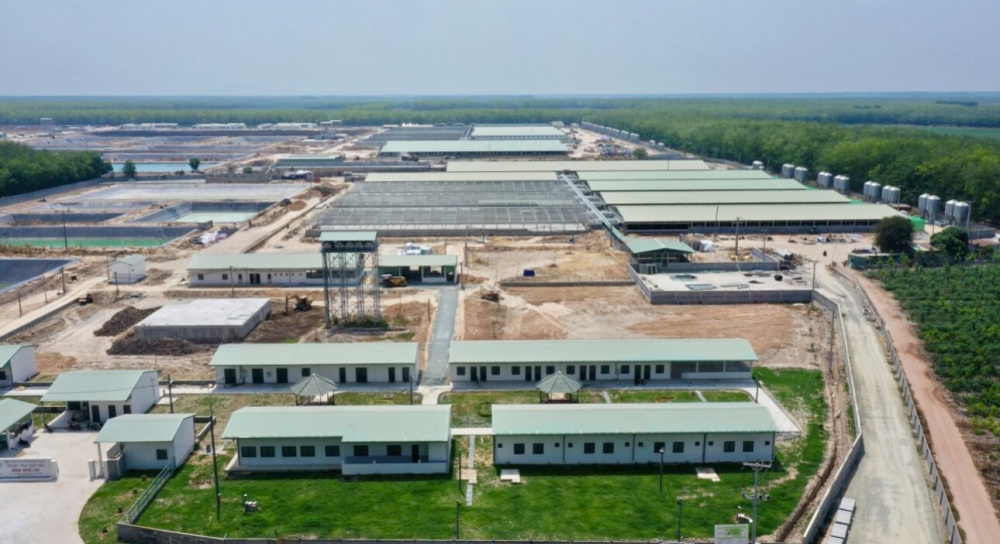 Trang trại BAF Việt Nam