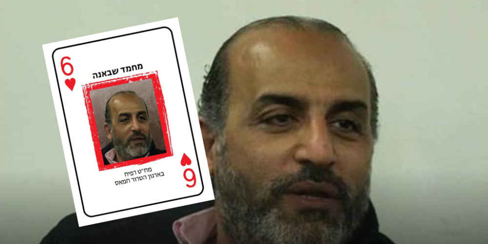 Mohamed Shabana