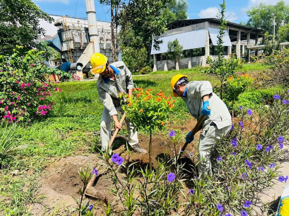 Nhôm Lâm đồng trồng cây xanh