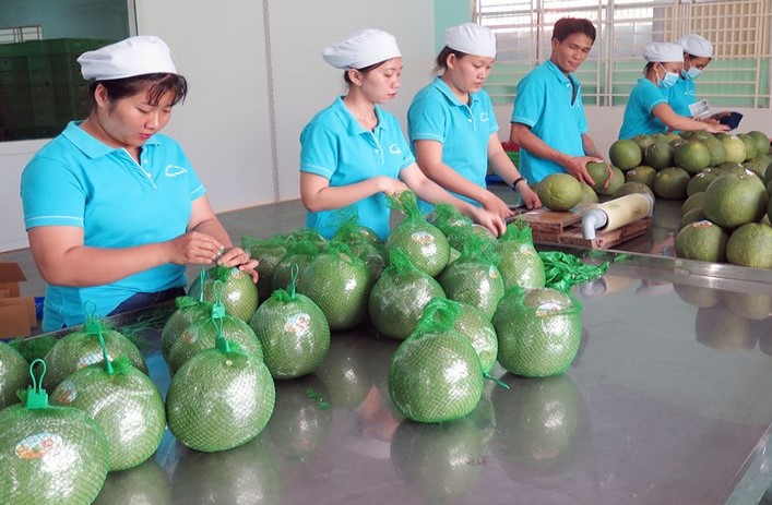 Cwin com sòng bạc trực tuyến Australia