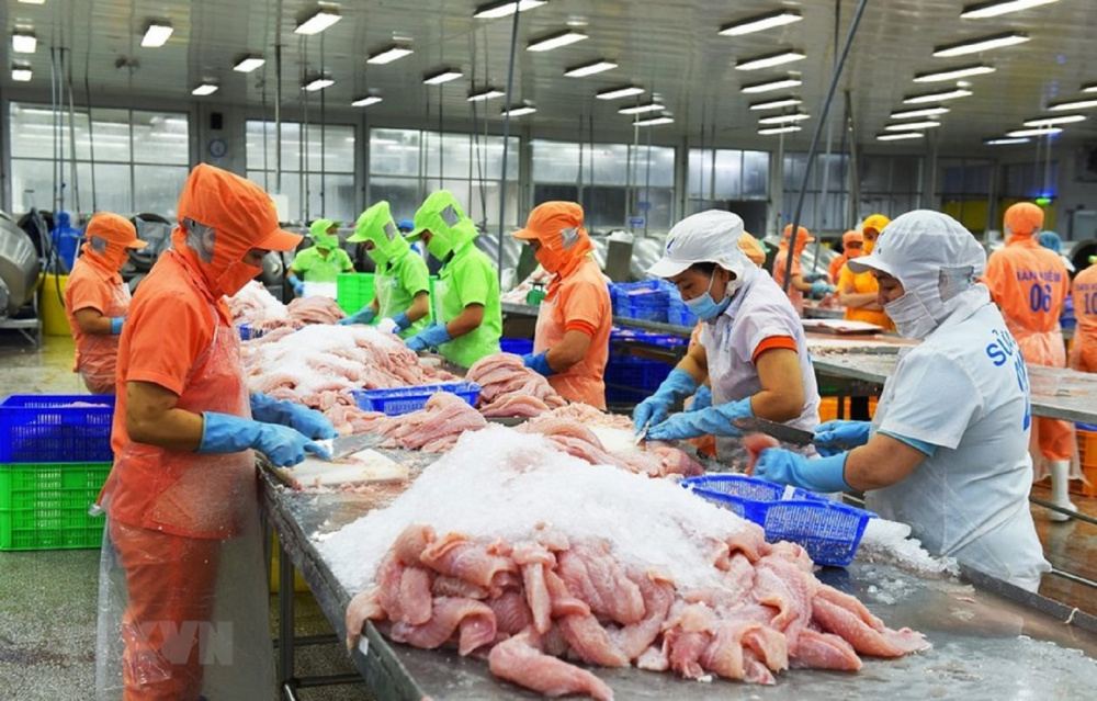 Giá cá tra Cwin Đăng Ký + 1888k có thể tăng ít nhất 10% đến quý III/2024