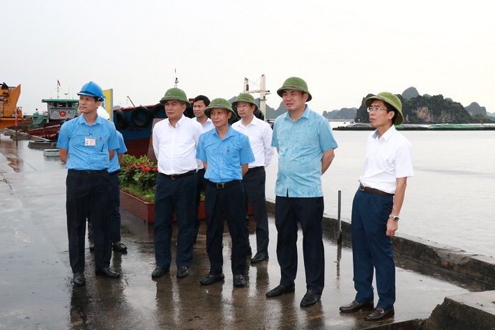 tkv kiểm tra kho vận đá bạc