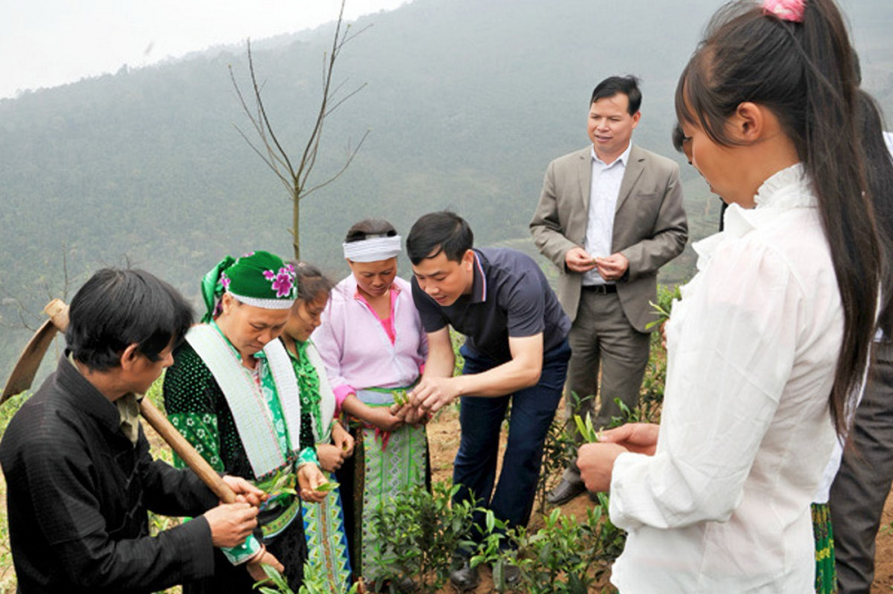 Ông Ngô Đức Tú cùng cán bộ Công ty cổ phần chè Sông Lô hướng dẫn bà con địa phương kiểm tra chất lượng chè