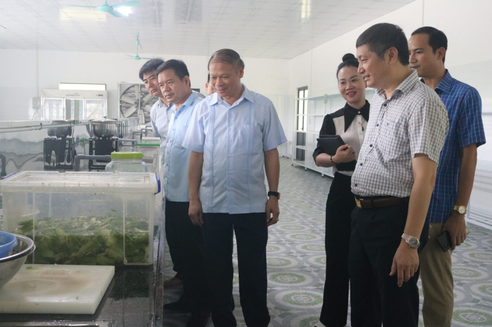 an toàn Link vào Cwin Cá Cược Thể Thao 2026