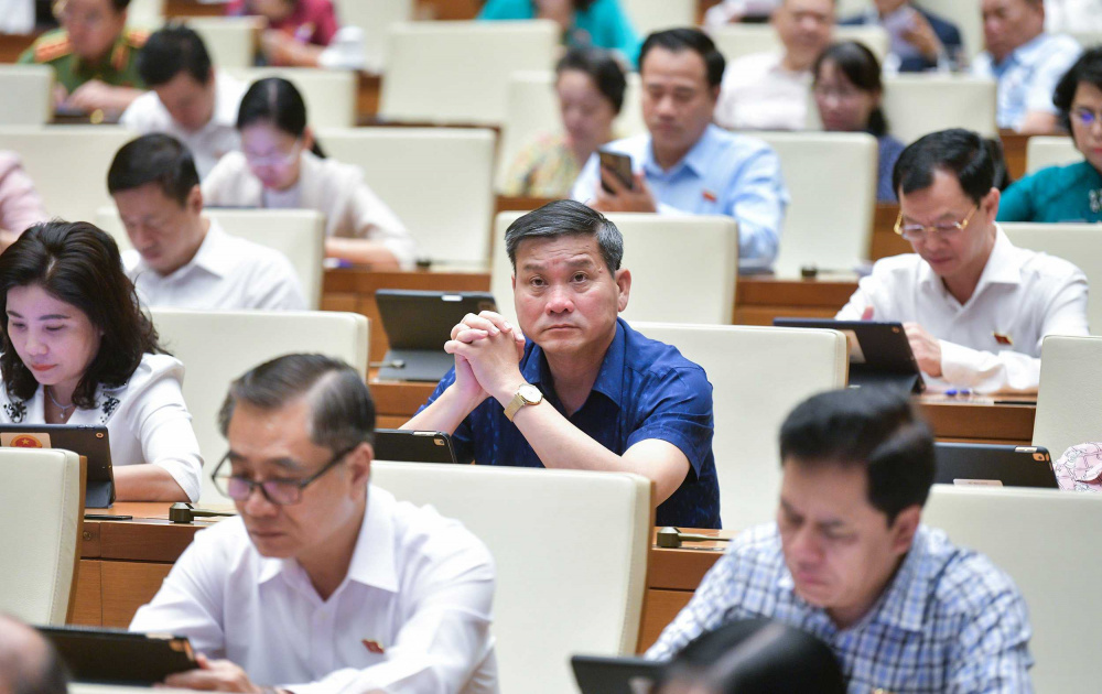 Trả lời chất vấn