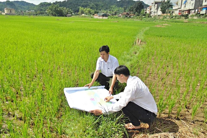 Kiểm kê đất đai trên cả nước bao gồm cả đất sân golf