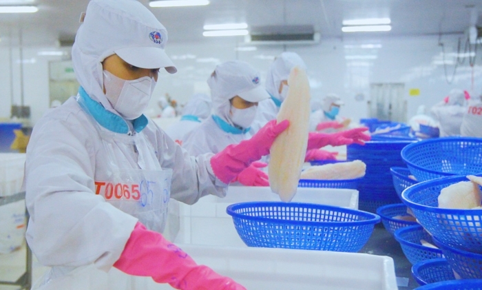 Cwin com sòng bạc trực tuyến cá tra