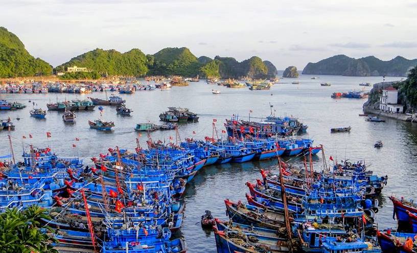 Hệ thống cảng cá