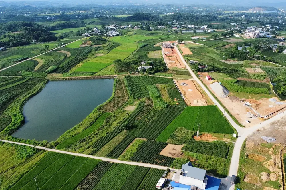 Xây dựng cơ sở dữ liệu về thị trường bất động sản, hạn chế đầu cơ thổi giá