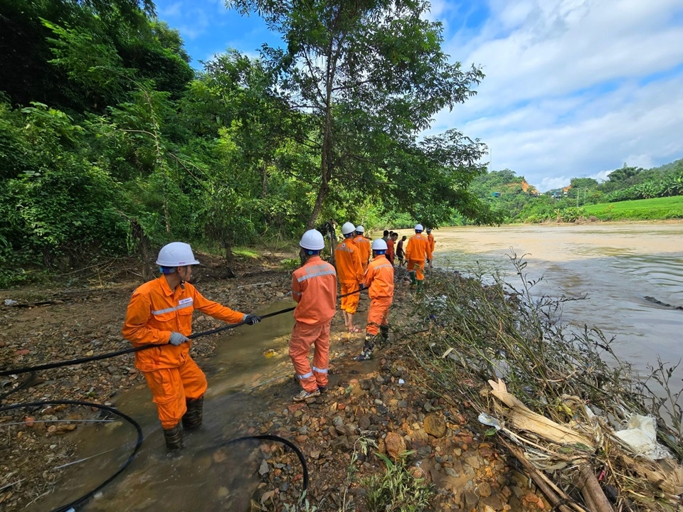 điện thương phẩm