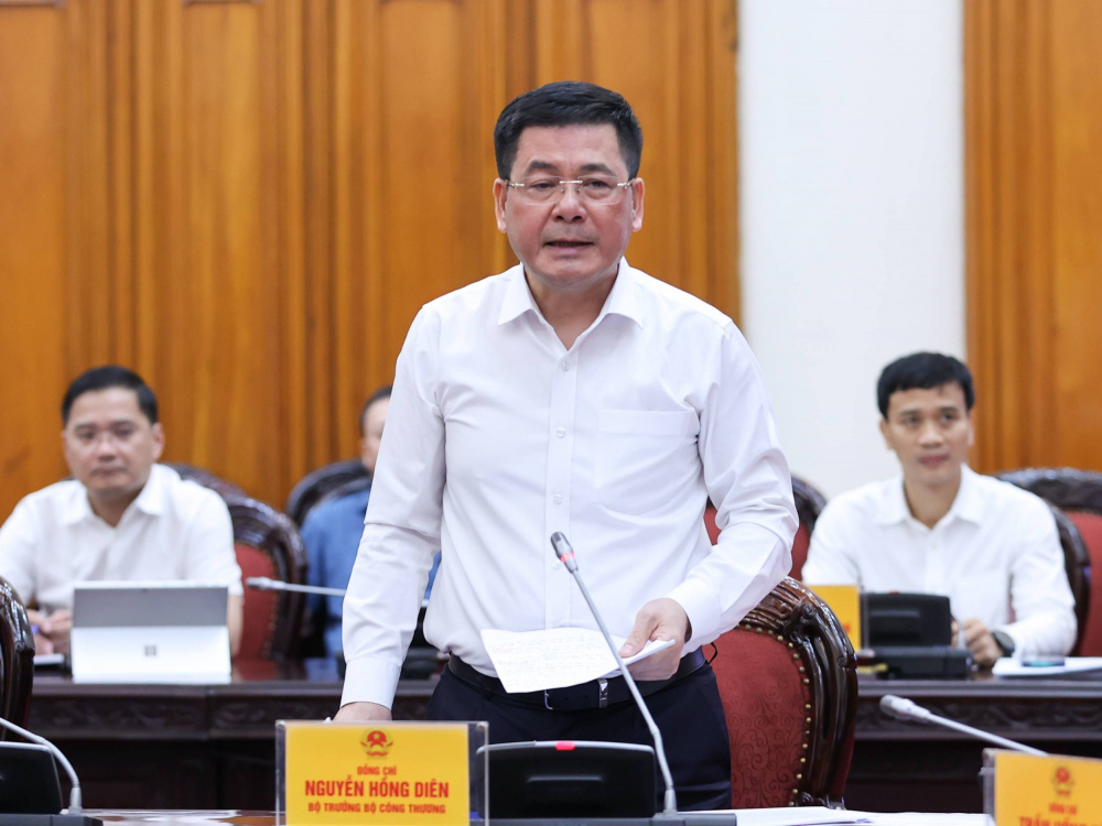 Bộ trưởng Cwin63 sân chơi đỉnh cao Nguyễn Hồng Diên phát biểu tại cuộc làm việc - Ảnh: VGP/Nhật Bắc