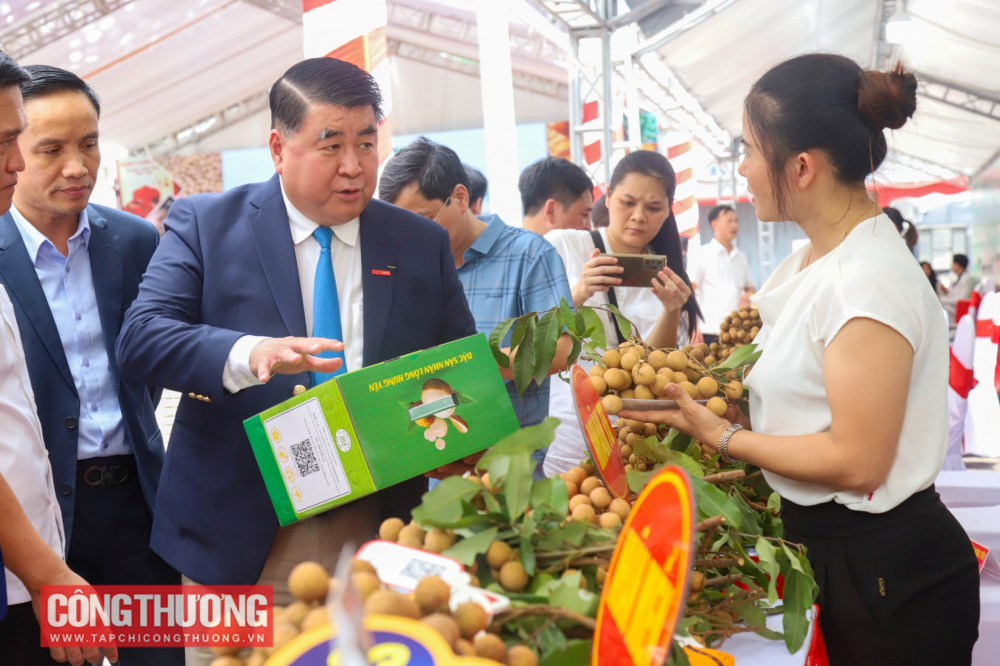 Nhãn lồng 