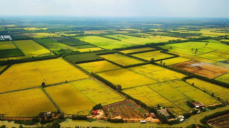 sử dụng đất