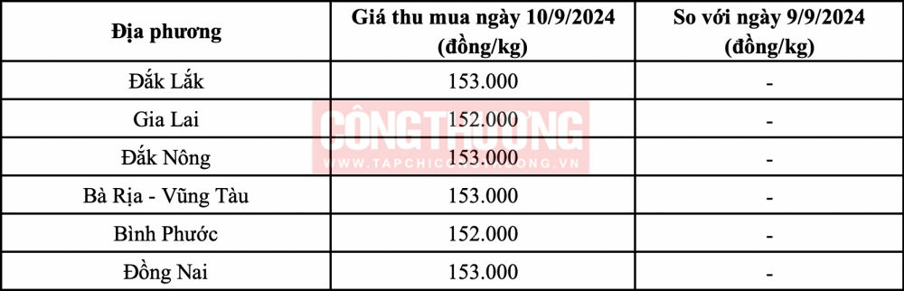 Giá tiêu hôm nay 10/9: Tiếp tục giữ ổn định